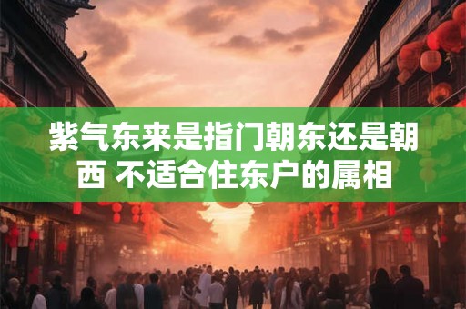 紫气东来是指门朝东还是朝西 不适合住东户的属相