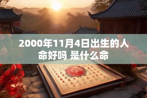 2000年11月4日出生的人命好吗 是什么命