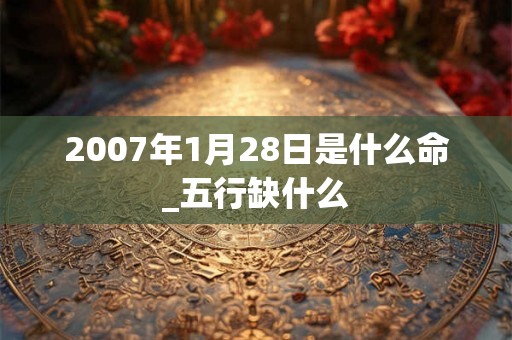 2007年1月28日是什么命_五行缺什么