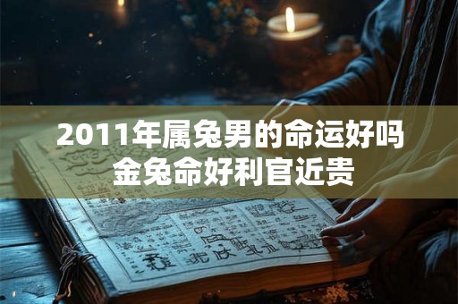 2011年属兔男的命运好吗 金兔命好利官近贵