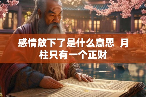 感情放下了是什么意思  月柱只有一个正财