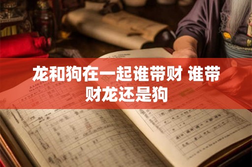 龙和狗在一起谁带财 谁带财龙还是狗