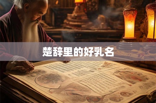 楚辞里的好乳名 楚辞里的好乳名