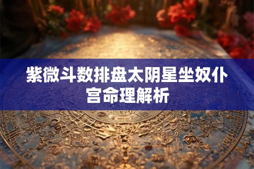 紫微斗数排盘太阴星坐奴仆宫命理解析