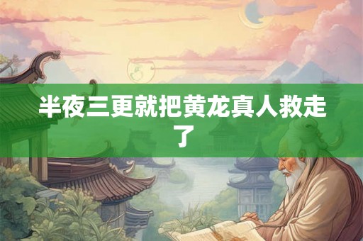 半夜三更就把黄龙真人救走了