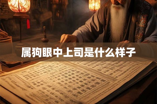 属狗眼中上司是什么样子