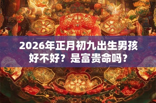 2026年正月初九出生男孩好不好？是富贵命吗？