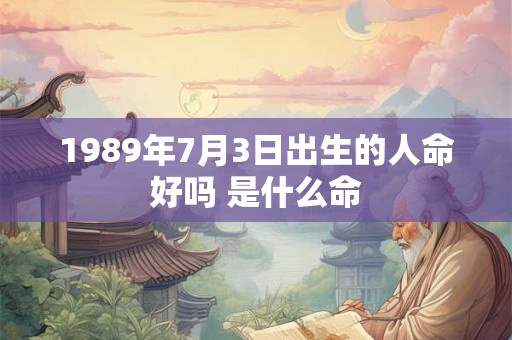 1989年7月3日出生的人命好吗 是什么命
