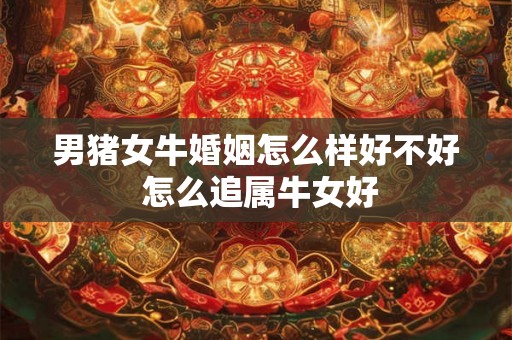 男猪女牛婚姻怎么样好不好 怎么追属牛女好