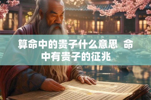 算命中的贵子什么意思  命中有贵子的征兆