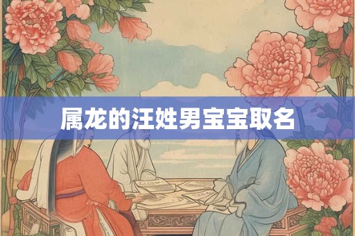 属龙的汪姓男宝宝取名