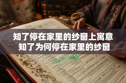 知了停在家里的纱窗上寓意 知了为何停在家里的纱窗上 知了停在家里的纱窗上寓意 知了为何停在家里的纱窗上