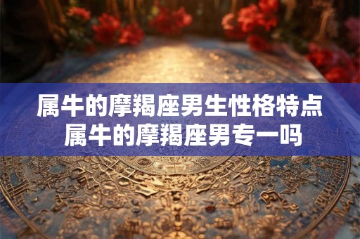 属牛的摩羯座男生性格特点 属牛的摩羯座男专一吗
