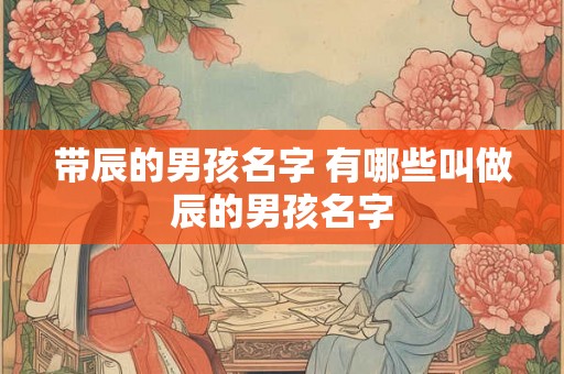 带辰的男孩名字 有哪些叫做辰的男孩名字