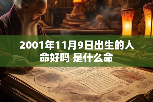 2001年11月9日出生的人命好吗 是什么命 2001年11月9日出生的人命好吗 是什么命