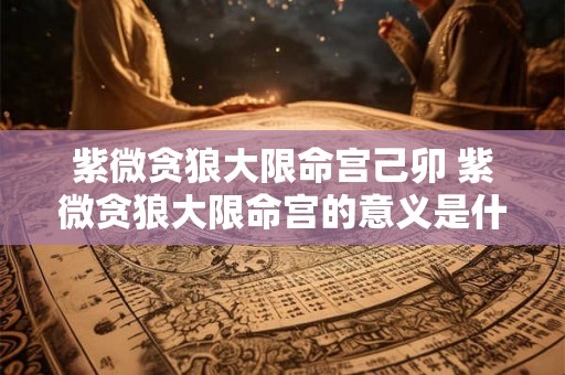 紫微贪狼大限命宫己卯 紫微贪狼大限命宫的意义是什么