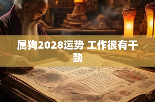 属狗2028运势 工作很有干劲