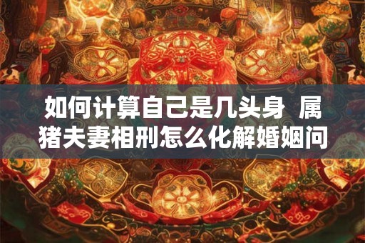 如何计算自己是几头身  属猪夫妻相刑怎么化解婚姻问题