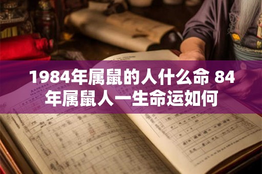 1984年属鼠的人什么命 84年属鼠人一生命运如何