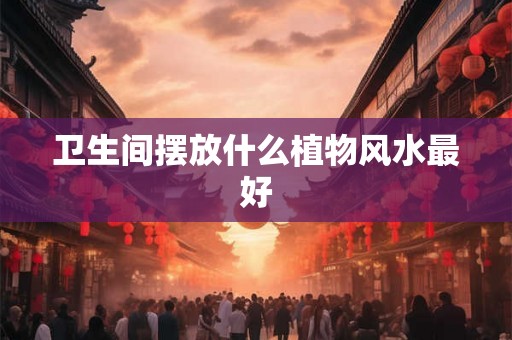 卫生间摆放什么植物风水最好