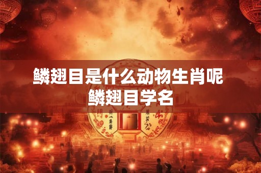 鳞翅目是什么动物生肖呢 鳞翅目学名