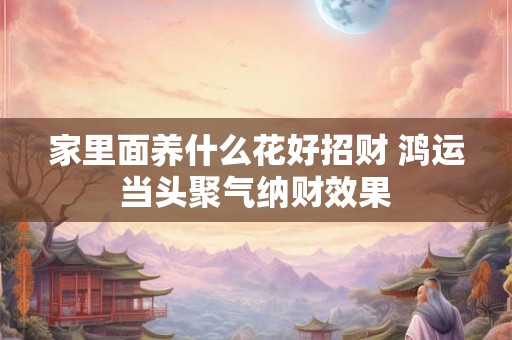 家里面养什么花好招财 鸿运当头聚气纳财效果 家里面养什么花好招财 鸿运当头聚气纳财效果