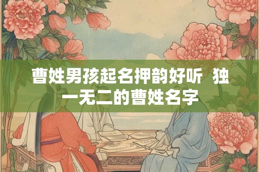 曹姓男孩起名押韵好听  独一无二的曹姓名字