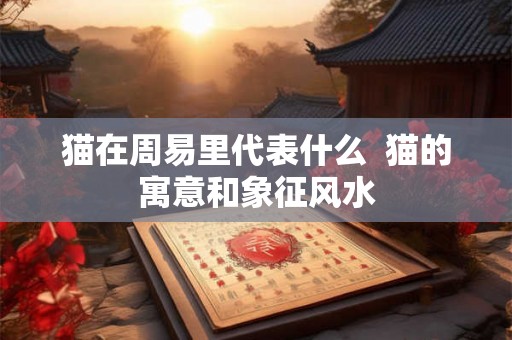 猫在周易里代表什么  猫的寓意和象征风水