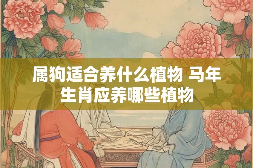 属狗适合养什么植物 马年生肖应养哪些植物