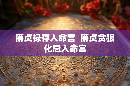 廉贞禄存入命宫  廉贞贪狼化忌入命宫