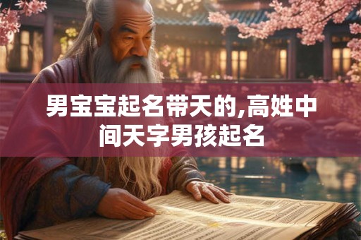 男宝宝起名带天的,高姓中间天字男孩起名