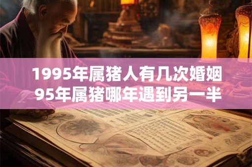 1995年属猪人有几次婚姻 95年属猪哪年遇到另一半