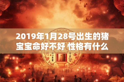2019年1月28号出生的猪宝宝命好不好 性格有什么特点 2019年1月28号出生的猪宝宝命好不好 性格有什么特点