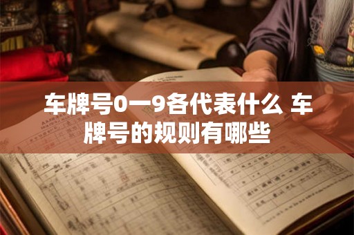 车牌号0一9各代表什么 车牌号的规则有哪些