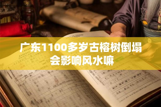 广东1100多岁古榕树倒塌 会影响风水嘛 广东1100多岁古榕树倒塌 会影响风水嘛