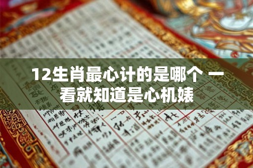 12生肖最心计的是哪个 一看就知道是心机婊