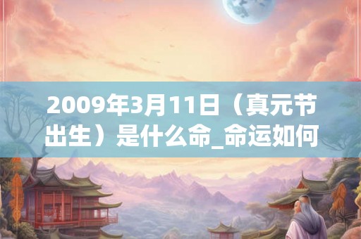 2009年3月11日（真元节出生）是什么命_命运如何