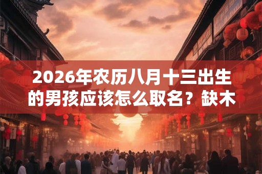 2026年农历八月十三出生的男孩应该怎么取名？缺木取名注意事项