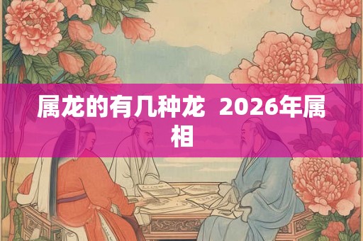 属龙的有几种龙  2026年属相