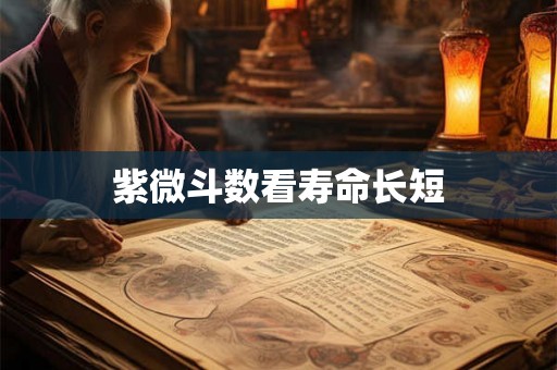 紫微斗数看寿命长短