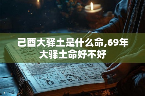己酉大驿土是什么命,69年大驿土命好不好