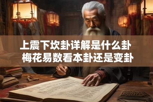 上震下坎卦详解是什么卦 梅花易数看本卦还是变卦 上震下坎卦详解是什么卦 梅花易数看本卦还是变卦