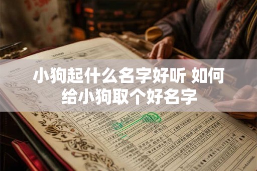 小狗起什么名字好听 如何给小狗取个好名字