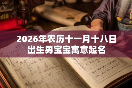 2026年农历十一月十八日出生男宝宝寓意起名