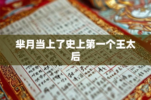 芈月当上了史上第一个王太后 芈月当上了史上第一个王太后