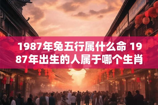 1987年兔五行属什么命 1987年出生的人属于哪个生肖属于什么五行命理