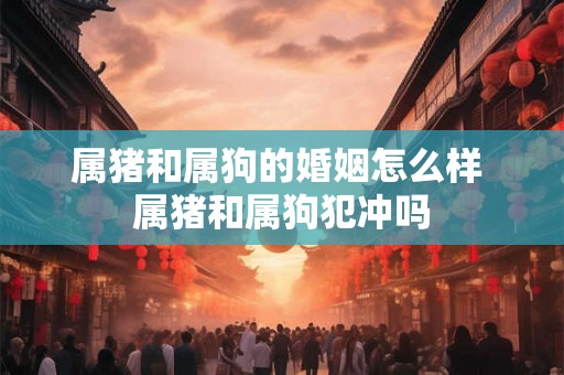 属猪和属狗的婚姻怎么样 属猪和属狗犯冲吗 属猪和属狗的婚姻怎么样 属猪和属狗犯冲吗