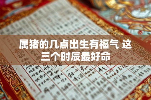 属猪的几点出生有福气 这三个时辰最好命
