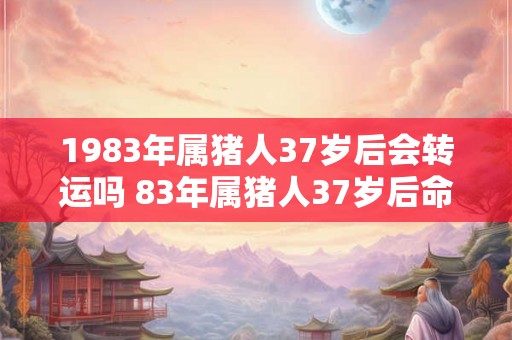 1983年属猪人37岁后会转运吗 83年属猪人37岁后命运如何
