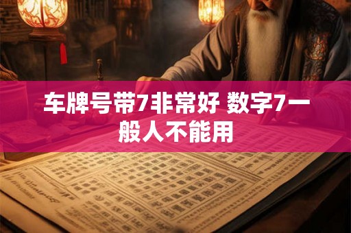 车牌号带7非常好 数字7一般人不能用
